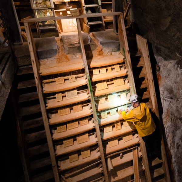 Artisan sur les échelles de pétrification