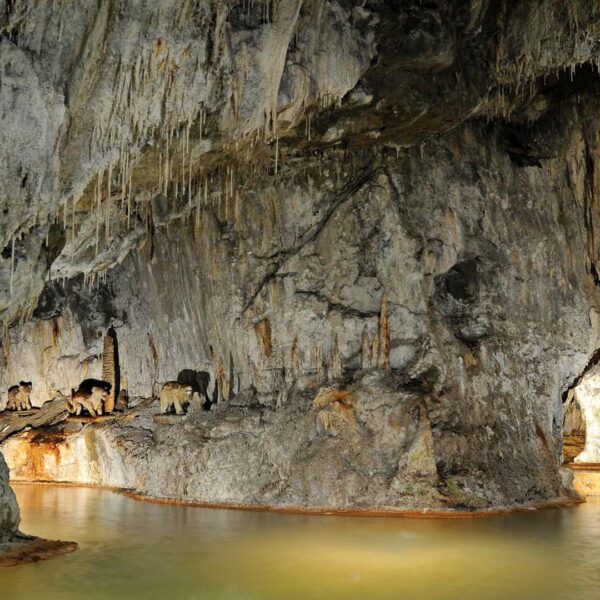 Cave of the Fontaines Pétrifiantes de Saint-Nectaire
