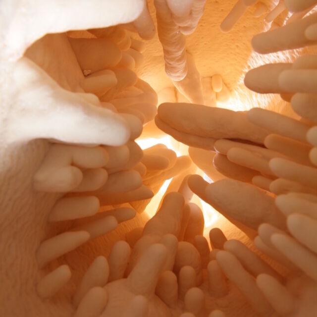 🧐Aven 
Fruit d’une étroite collaboration avec Romain Langlois (@jamais_les_mains_tombent) cette alliance de bronze et de calcite est la mise en lumière inédite et originale d’une cavité souterraine sous la forme d’un arbre 🌟

Pièce finaliste du prix Liliane Bettencourt pour l'Intelligence de la Main organisé par la @fondationbettencourtschueller 

Article complet à découvrir sur notre site

#grotte #cave #natureinspiration #calcaire #calcite #oxydefer #stalagmites #stalactites #grottecalcaire #details #détails #detailsoftheday #detailsmatter #details #detailshot #detailing #detailed #texture #textures #detailsinpiration #limestone #petrification #pétrification